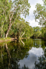 Fototapeta na wymiar Exploring Upper Stoney Creek, Byfield National Park, Queensland.