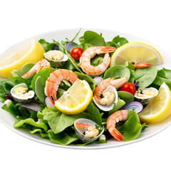 Seafood salad mixed greens garnished with lemon vinaigrette shot with a soft focus background