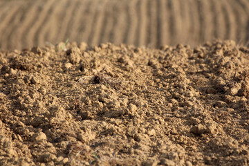 Dry soil mixed with small dry grass prepared for cultivation and planting with freshly plowed field in background on warm sunny spring day