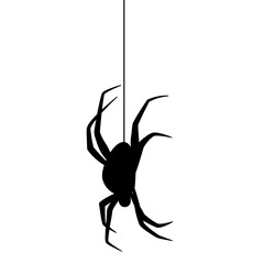 spider silhouette illustration