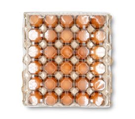 top view of 30 eggs raw in a carton box on transparent background. Thirty fresh chicken eggs. clipping path
