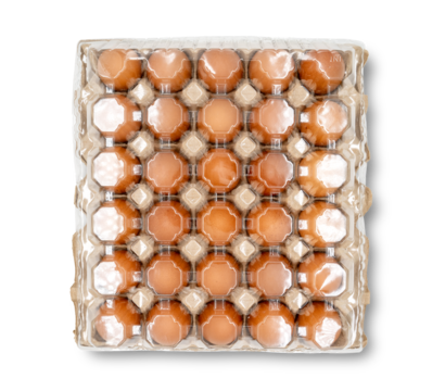 top view of 30 eggs raw in a carton box on transparent background. Thirty fresh chicken eggs. clipping path