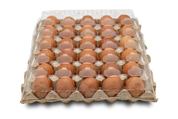 30 eggs raw in a carton box on transparent background. Thirty fresh chicken eggs. clipping path