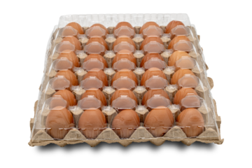 30 eggs raw in a carton box on transparent background. Thirty fresh chicken eggs. clipping path