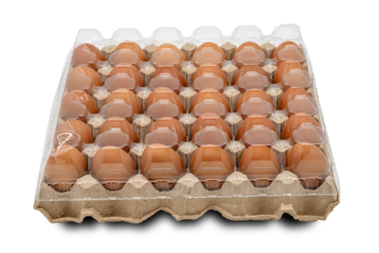 30 eggs raw in a carton box on transparent background. Thirty fresh chicken eggs. clipping path