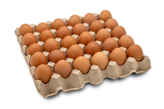 30 eggs raw in a carton box on transparent background. Thirty fresh chicken eggs. clipping path
