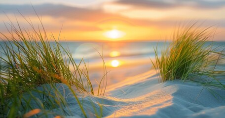 A Serene Composition of Green Grass on Sand Dunes, the Sea's Blur, and Sunset's Embrace