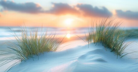 Soft Green Grasses Rise from the Sand Dunes, Overlooking a Blurred Sea under a Sunset's Golden Mood