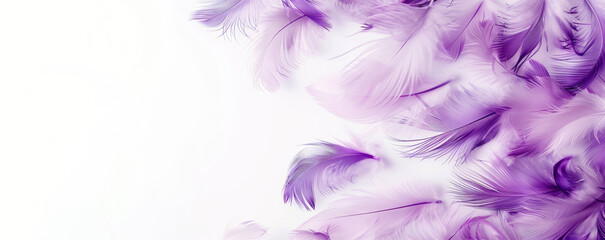 A white background with purple feathers scattered across it. The feathers are of various sizes and shapes, creating a sense of movement and freedom. evokes a feeling of tranquility. banner of feathers