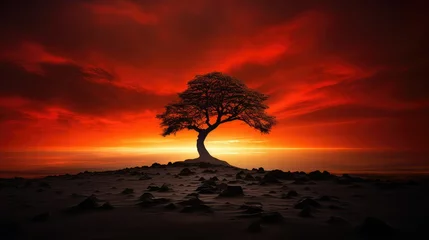 Rolgordijnen lone dark sunrise © vectorwin