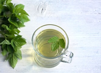 Herbal tea from flower of Aegopodium podagraria, commonly called ground elder or bishop´s weed. Herbal tea  used in traditional medicine for painful joints, fresh leaves around.