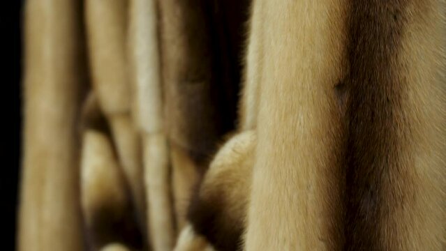 New collection of fur clothing in shop, Luxury mink coats.