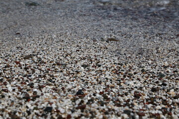 Wet marine multicolored stones