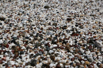 wet pebbles on the beach