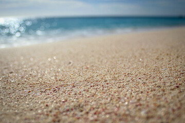 Fototapeta na wymiar Marley beach scenic view, sunny noon, Bermuda