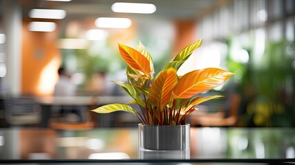 foliage blurred interior plant