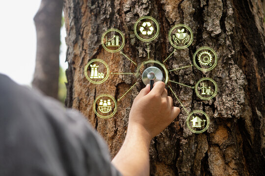 Take care tree health Net zero carbon neutral greenhouse gas emissions zero CO2 long-term strategy goals circular economy and renewable energy. Grow a sustainable business and improve the environment.