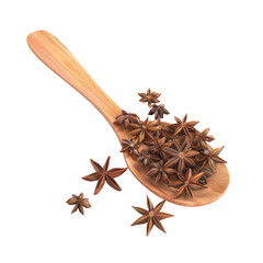 Wooden spoon with star anise seeds