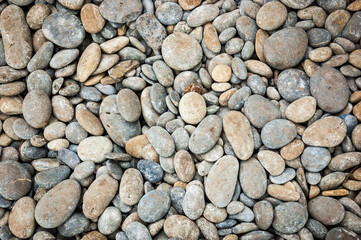 Texture of the Rocks at Ruby Beach in Olympic National Park, Beach in Washington State