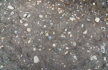 Texture of the Rocks at Ruby Beach in Olympic National Park, Beach in Washington State