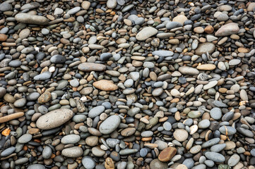 Texture of the Rocks at Ruby Beach in Olympic National Park, Beach in Washington State