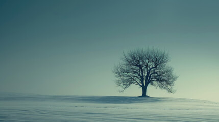 A single tree stands in the middle of a vast, snow-covered field, stark against the white landscape