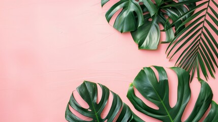 Fototapeta na wymiar Exotic Leaves with Soft Shadows on Pastel Pink