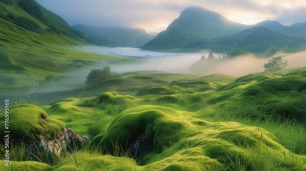 Poster a serene morning in the highlands, with mist rolling over lush green hills and the first light of da