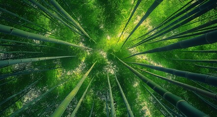 Fototapeta na wymiar The Canopy of Bamboo A Symphony of Nature's Architecture Generative AI