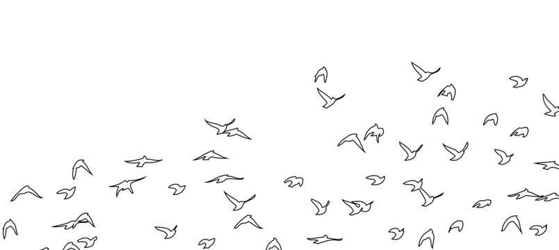 Flying birds silhouette flock. hand drawing. Not AI, Summer vector illustration