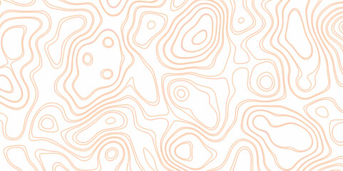 Abstract topography background. Blank detailed topographic contour map subtle. White vector background. Topographic geography wallpaper. - obrazy, fototapety, plakaty