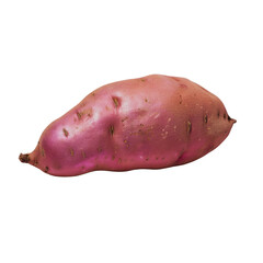 Purple sweet potato on Transparent Background