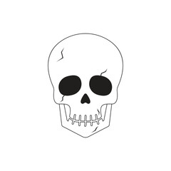 skeleton head icon vector