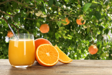 Fresh orange juice on wooden table in orchard. Space for text