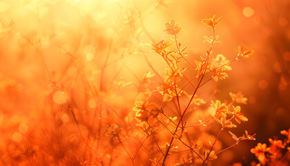 Fototapeta premium Minimalist photography background