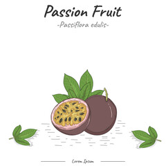 Frutipedia Passion fruit illustration vector