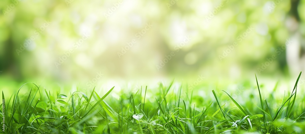 Sticker beautiful blurred background of lush green grass