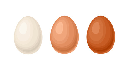 Set of chicken eggs isolated. White, light brown and dark egg. Vector cartoon flat illustrations.