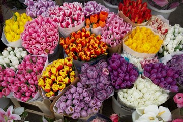 colorful flowers in a market