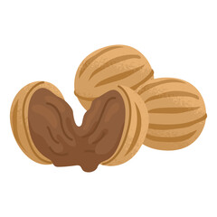 Round nut cookies filled with boiled condensed milk. Sweet pastries for the holiday table. Candy store. Vector illustration isolated on transparent background.