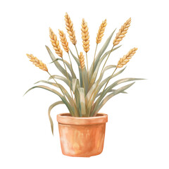 Plant with wheat in pot on Transparent Background