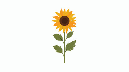 Sunflower icon isolated on white background Flat vector