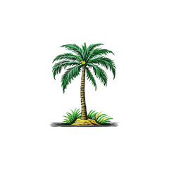 Vector design and illustrator