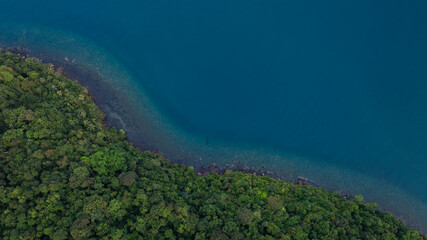 Aerial view of the dark green forest and the sea. Natural ecosystems of forests and oceans. concept of natural forest conservation