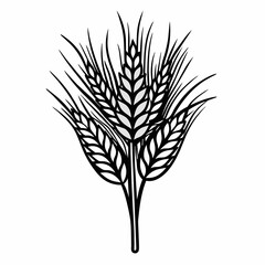 Captivating Barley Line Art Illustration for Your Creative Projects