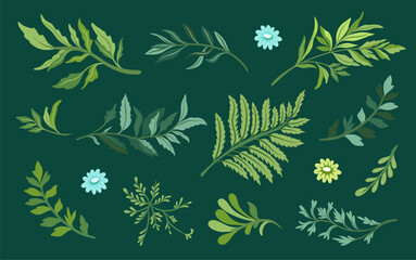 Collection of elegant beautiful tropical plants isolated on background. Cute leaves for decorative design elements.