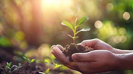 A single hand holds a small sapling with delicate care, illuminated by the soft, dappled light of the sun, conveying a message of growth and environmental stewardship..