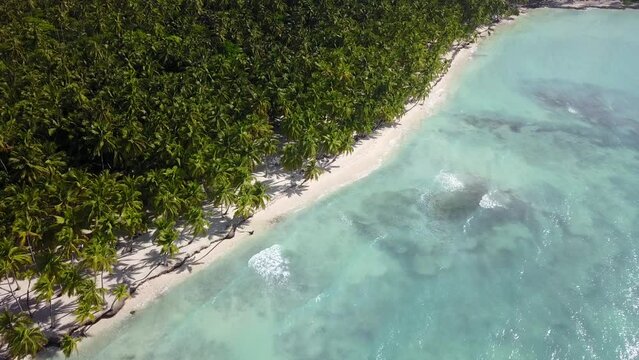 Relax on an empty sea beach. Travel to the paradise sea beach. The Dominican Republic beaches. Travel to Island Saona, idyllic tropical sea beach loop video, copy space.