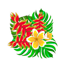 Exotic bouquet of tropical flowers and leaves, hand drawn illustration on a white background. Exotic yellow plumeria and monstera leaves. Design for printing on packaging and fabric design.