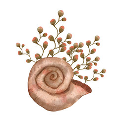 Spiral seashell with seaweed bush. Watercolor hand drawn illustration, isolated on white background for icon or logo. Print for cards or textile design. Coral reef and underwater life